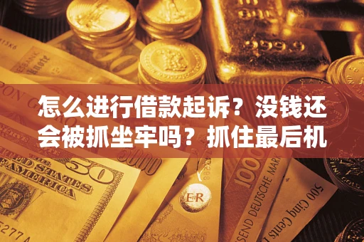 北京怎么进行借款起诉？没钱还会被抓坐牢吗？抓住最后机会！
