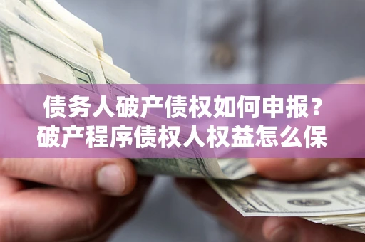 北京债务人破产债权如何申报？破产程序债权人权益怎么保障？