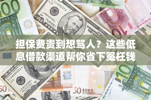 北京担保费贵到想骂人？这些低息借款渠道帮你省下冤枉钱