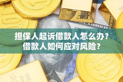 北京担保人起诉借款人怎么办？借款人如何应对风险？