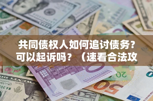 北京共同债权人如何追讨债务？可以起诉吗？（速看合法攻略）
