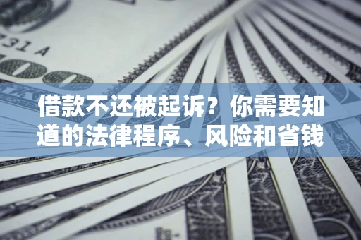 北京借款不还被起诉？你需要知道的法律程序、风险和省钱技巧
